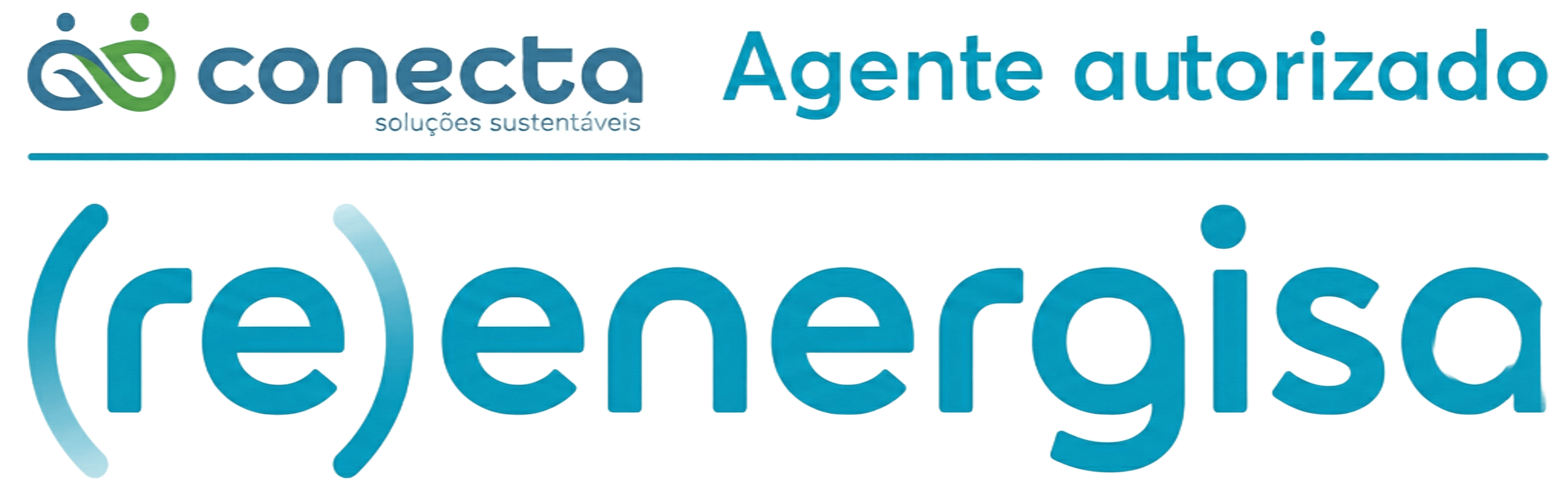 Conecta (re)energisa